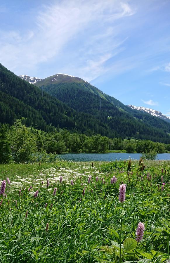 Hotel Nufenen Ульрихен Экстерьер фото