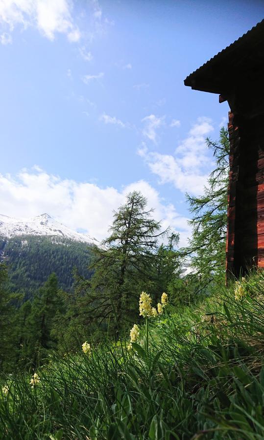 Hotel Nufenen Ульрихен Экстерьер фото